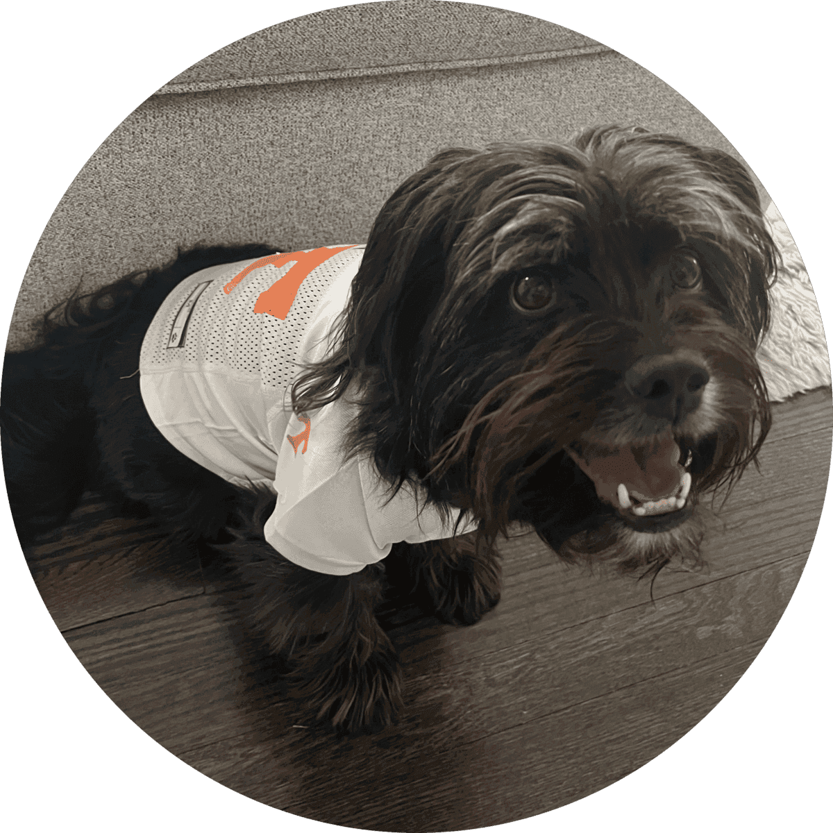 Skittles Egly, Emotional Support Agent at Egly Agency